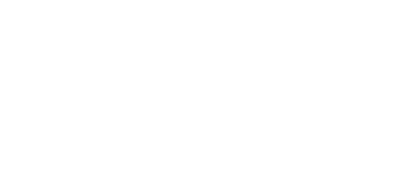 STC Large Logo