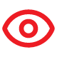 Vision Icon